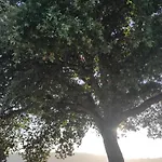 וילה Villacella - Geres *